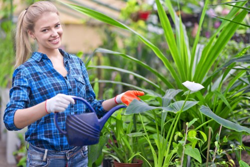 A young woman with long blonde hair, wearing a blue and black checked shirt and gardening gloves, is standing in a lush garden with various green plants, including tall grass-like foliage and broadleaf plants. She is smiling as she waters the plants with a dark blue watering can. The garden features a mix of textures and shades of green, with some plants showing hints of purple or white flowers. The garden appears well-maintained, with healthy, dense foliage and natural outdoor lighting, suggesting a bright, possibly spring or summer day in Clapham. This scene reflects typical gardening activities supported by professional landscapers, emphasizing plant care and outdoor space enhancement in an urban or suburban setting, consistent with services offered by companies like landscapersclapham.co.uk.