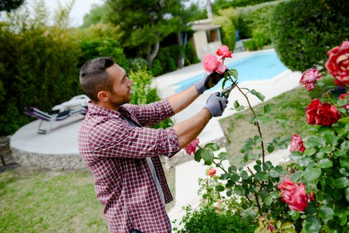 Customer complaint review for a landscaping project