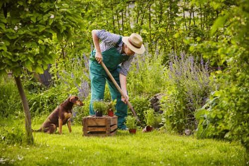 A person wearing a straw hat, blue apron, and patterned shirt is tending a lush garden, using a small gardening tool to care for plants in a flower bed. The garden features a well-maintained lawn with vibrant green grass, bordered by a variety of shrubs and flowering plants, including tall purple flowers and dense foliage. A small brown dog sits attentively nearby on the grass, observing the person’s activity. The background contains mature trees with leafy canopies providing partial shade, creating a peaceful outdoor environment suitable for gardening and landscaping. The scene is illuminated by natural daylight, suggesting a clear weather day, and reflects a typical landscaped garden space in Clapham, with careful plant arrangement and outdoor maintenance typical of professional gardening services provided by landscapes companies such as Landscapers Clapham.