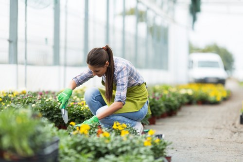 A woman wearing a checkered shirt, green apron, and gloves is kneeling on a gravel pathway in a greenhouse or garden centre. She is tending to a bed of colorful flowering plants and small shrubs with yellow and purple blooms, using a small trowel. The garden bed is edged with soil and contains various green plants and foliage. In the background, there are additional flower pots, plant displays, and a large glass structure with metal framing, indicating an indoor or controlled environment typical of garden nurseries or landscaping supply locations in Clapham. The scene is brightly lit with natural daylight, highlighting the vibrant colours of the flowers and the lush greenery, contributing to a professional gardening or landscaping service context.