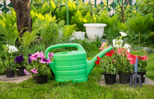 Pruning and trimming services for Clapham gardens