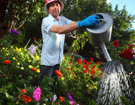 The image depicts a man in a gardening uniform and red hat watering a colourful flower bed in a lush outdoor garden. The garden features a variety of flowering plants with vibrant hues of red, pink, purple, and yellow, as well as green foliage. The man is standing amidst the plants, holding a large grey watering can that is pouring water onto the flowers and soil below. In the background, there are tall trees and shrubs providing a natural and shaded environment. The garden’s layout includes a mix of flower beds bordered by soil and green grass, with some paved or mulched pathways visible. The overall scene appears to be in bright daylight, suggestive of pleasant weather suitable for outdoor gardening work, possibly in Clapham or the surrounding South London area, highlighting the services offered by Landscapers Clapham in outdoor garden maintenance and planting.