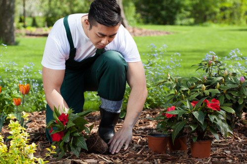 Professional landscape design in Clapham