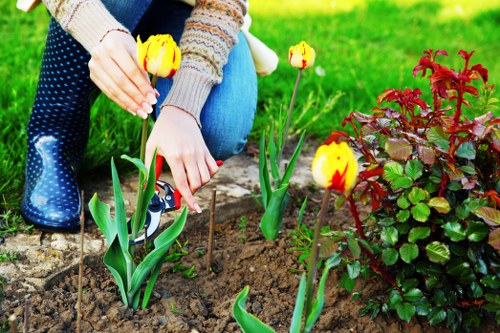 Cost factors for tree services in Clapham