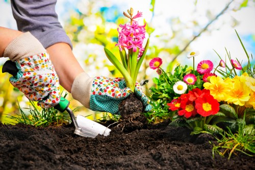 Mulched flower beds in a Clapham garden