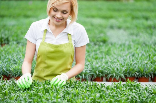 Garden debris removal process in Clapham