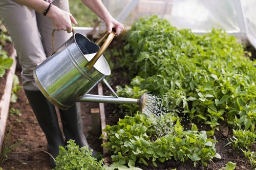 In the image, a person is watering a lush vegetable garden with a metal watering can, positioned over a bed of green leafy plants, including lettuce and possibly other salad greens. The garden is situated in a well-maintained outdoor space, featuring neat, dark soil beds with healthy, vibrant foliage. In the background, there are more established greenery, possibly bushes or small shrubs, indicating a landscaped backyard or front garden area. The scene appears to be set in natural daylight, suggesting a clear weather day, ideal for outdoor gardening activities. The individual’s hands and lower arms are visible, equipped with gardening tools and casual outdoor clothing, emphasizing the routine of watering and caring for plants as part of a professional or personal gardening routine. This detailed depiction aligns with gardening and landscaping services offered by companies like Landscapers Clapham, supporting garden maintenance and plant care in Clapham or nearby London areas.