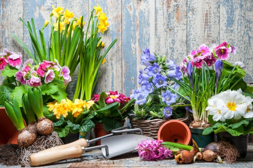 A variety of flowering plants arranged in pots and baskets are placed on a weathered wooden surface outdoors, with a rustic wooden fence as the background. The arrangement includes yellow daffodils with green stems in a pot, pink and purple primroses in woven baskets, and white primroses with yellow centers also in planters. In front of the plants, there are gardening tools such as a small hand rake, a trowel, and a watering can, along with some bulbs, soil, and scattered flower petals, indicating preparations for planting or flower care. The scene captures a bright, sunny day with natural light highlighting the vibrant colours of the blossoms and textures of the soil and wooden background, reflecting typical garden maintenance activities that a landscaping company like Landscapers Clapham might undertake for creating and maintaining attractive outdoor spaces in Clapham or the surrounding SW postcode area.